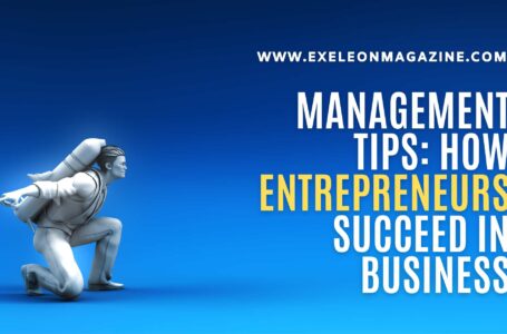 Management Tips: How Entrepreneurs Succeed in Business