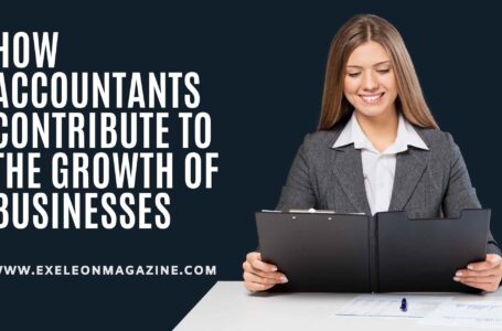 How Accountants Contribute to the Growth of Businesses