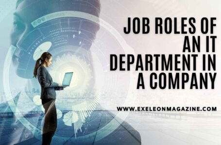 Job Roles of Your IT Department in a Company