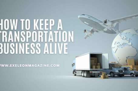 How to Keep a Transportation Business Alive