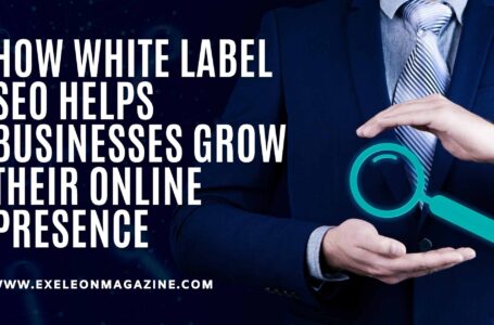 White Label SEO: How It Helps Businesses Grow Their Online Presence