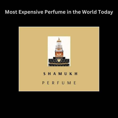 Shamukh most expensive perfumes