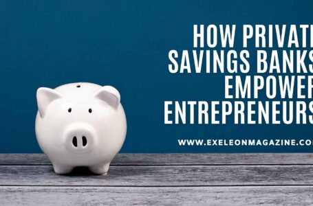 Access to Capital: How Private Savings Banks Empower Entrepreneurs