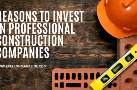 Reasons to Invest in Professional Construction Companies