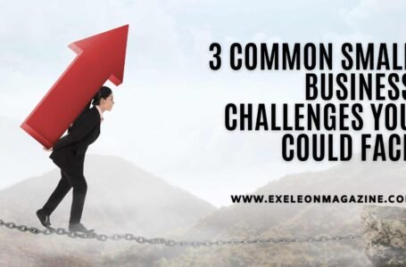 3 Common Small Business Challenges You Could Face