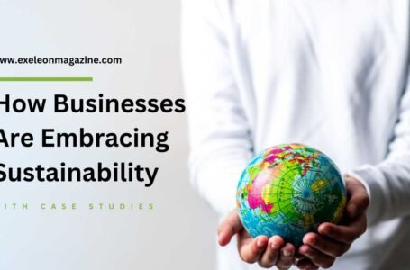 Why Sustainability in Business is the Future (With Case Studies)