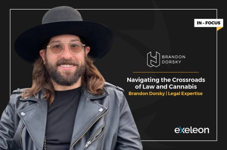 Brandon Dorsky: Navigating the Crossroads of Law and Cannabis