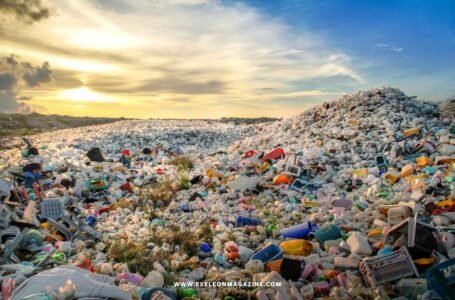 Rubbish Removal in Sydney: Different Kinds of Waste that they Handle