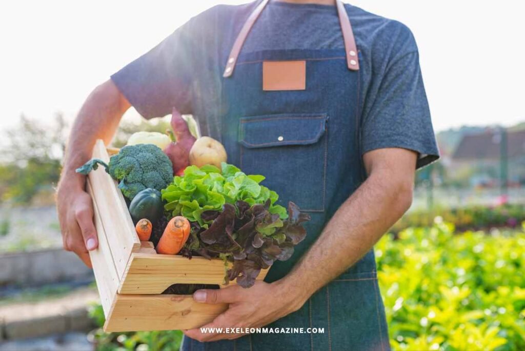 Organic Food Supports Local Economies