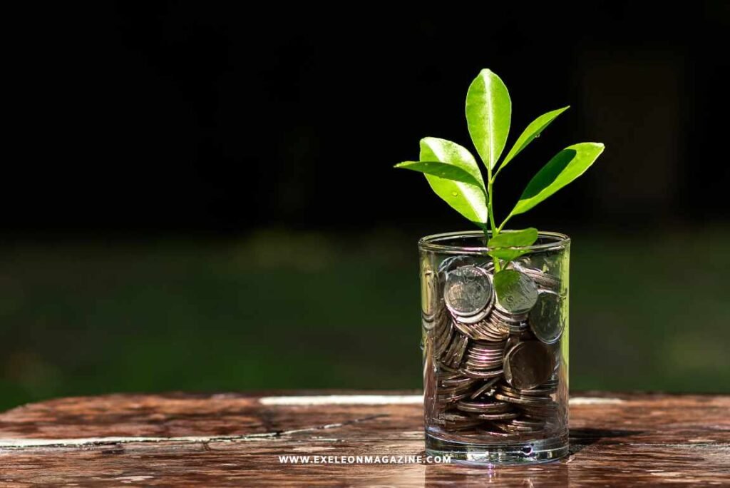 Key Investments Every Business Needs to Grow Successfully