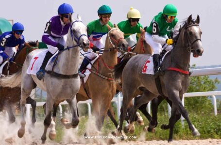 How Horse Racing Can Teach Business Lessons