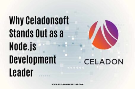 Why Celadonsoft Stands Out as a Node.js Development Leader