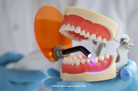 How Dental Fillings Restore Your Smile and Oral Health