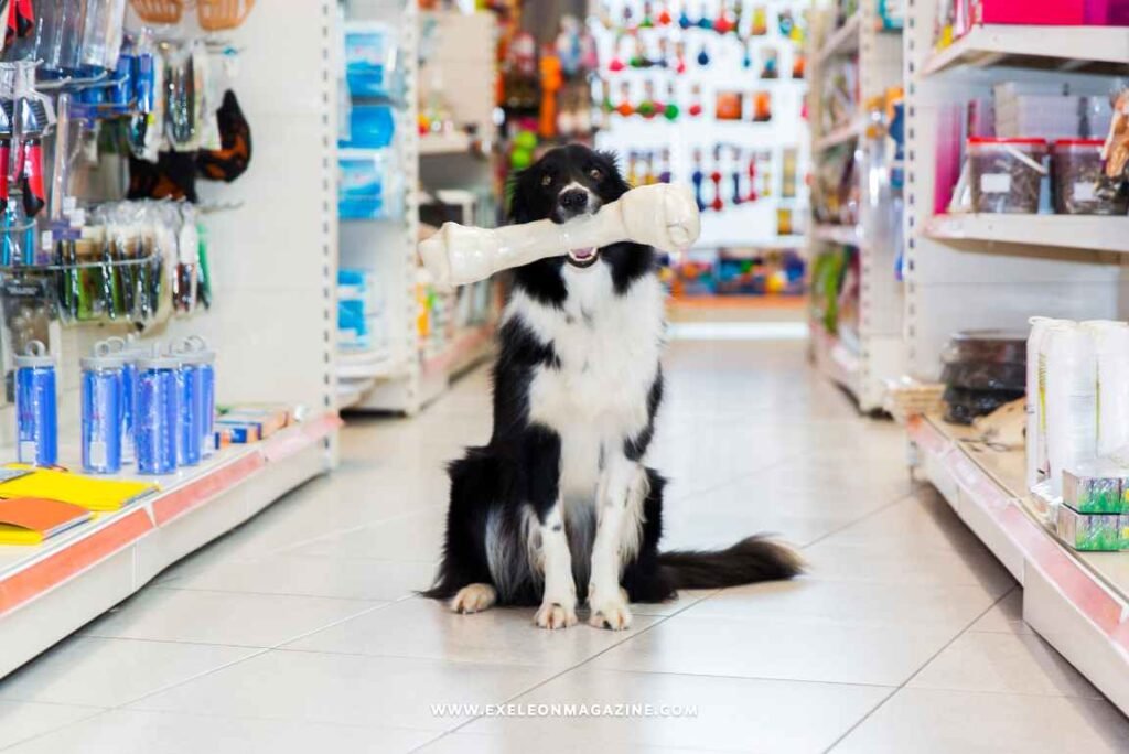 7 Popular Marketing Ideas for Pet Stores