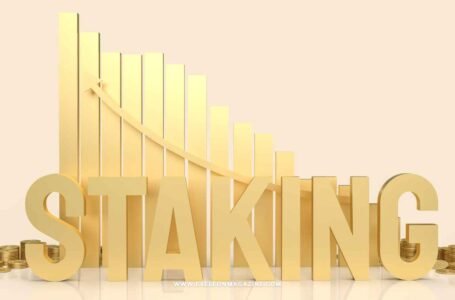 Choosing the Best Platform for Staking: Key Characteristics to Pay Attention to