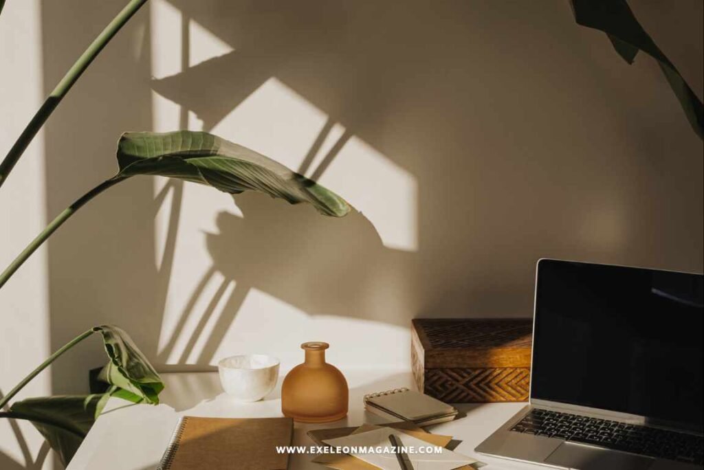 How to Divide a Space Using Light