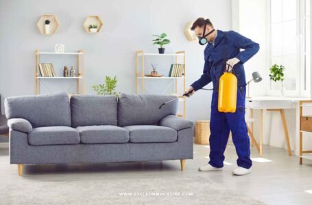 Austin’s Growing Pest Problem: What New Homeowners Need to Know