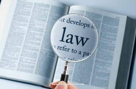 Decoding What Leaders Need to Know about Company Law