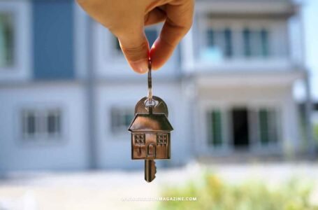 How To Plan A Move Into A New Apartment