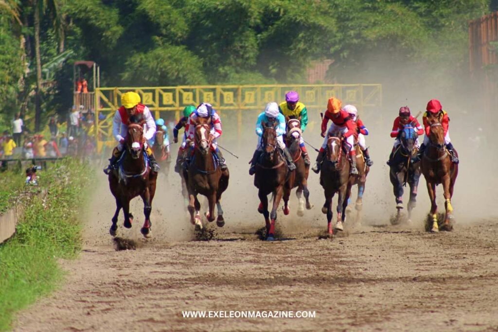 Virtual Horse Racing