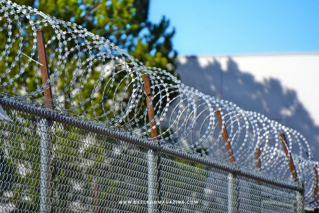 Polywire Electric Fence