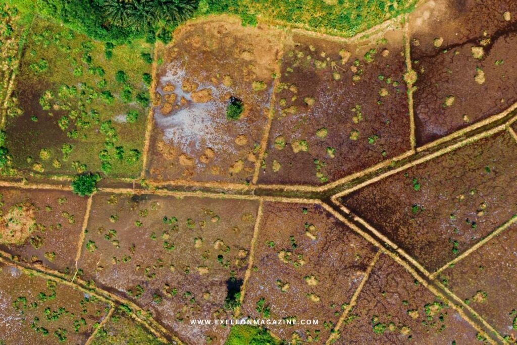 Land Upgrades