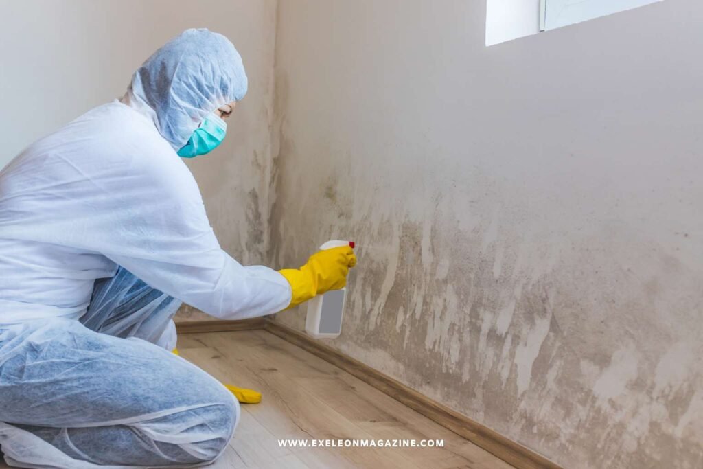 Address mold in the workplace by identifying water damage early