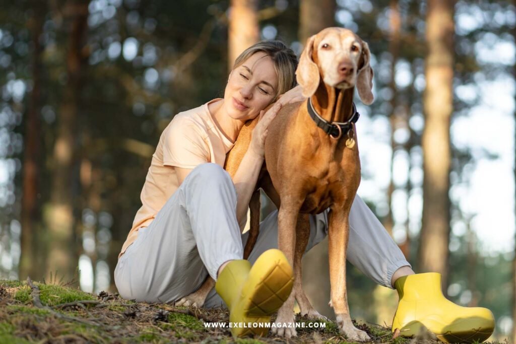 DTC Pet Brand