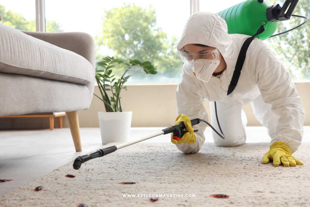 Pest Control In Orange County
